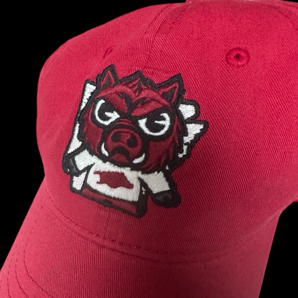 Zephyr NCAA Arkansas Razorbacks Tokyodachi anime style Curved Bill Hat One Size - Picture 5 of 9